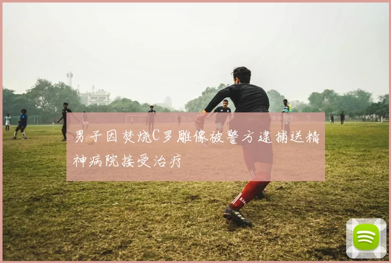 男子因焚烧C罗雕像被警方逮捕送精神病院接受治疗