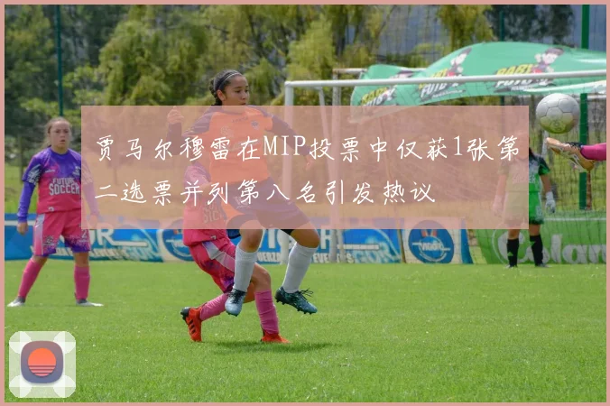 贾马尔穆雷在MIP投票中仅获1张第二选票并列第八名引发热议